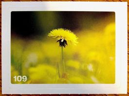 Migros Nature Detectives - Bild Nr. 109