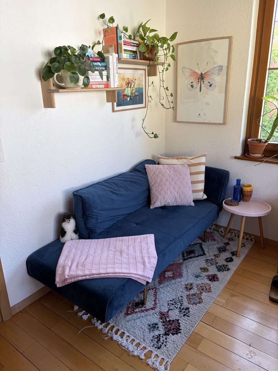 Divani: Samtsofa mit Schlaffunktion – Usato da Birsfelden venduto da jan_2p29