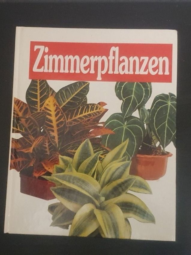 Libri: Zimmerpflanzen – Usato da Langnau am Albis venduto da jer_pm72