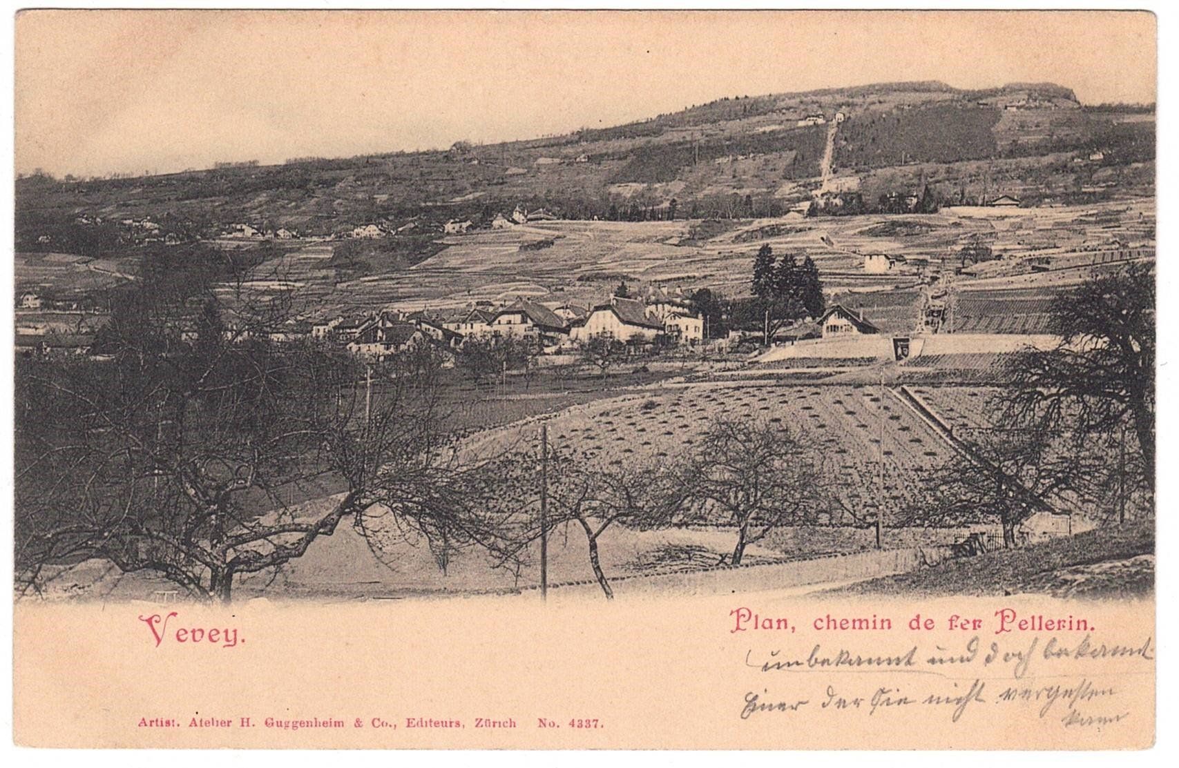 Cartoline postali: 1901 Vevey – Usato da Kreuzlingen venduto da Koi4