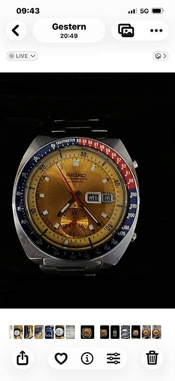 Orologi: Seiko Pogue  – Usato da Steinmaur venduto da Mandy.Steinbruch1953 2