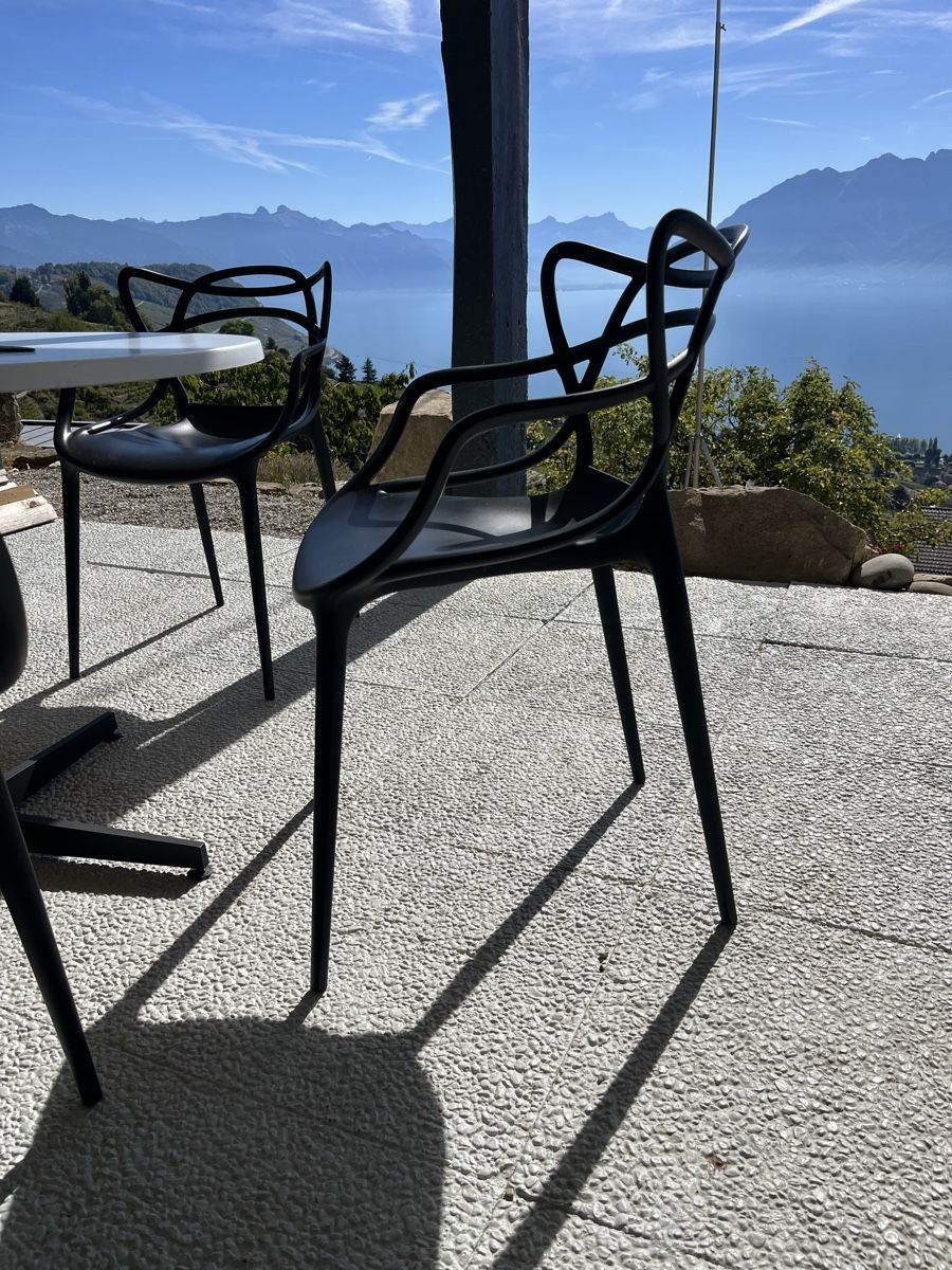 Kartell Sedie: Chaises Masters Kartell by Philippe Starck – Usato da Lausanne venduto da joltei 2