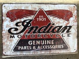Indian motorcycle 1901 parts usa