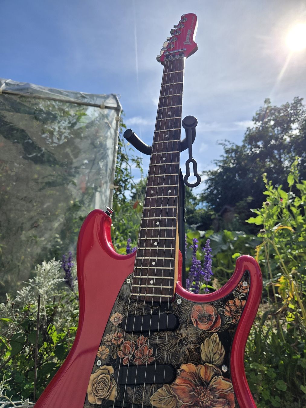 Ibanez Strumenti musicali: Ibanez Series Floyd Rose custom – Usato da Rheinau venduto da eli_qrw8