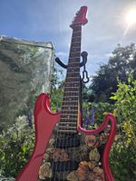 Ibanez Series Floyd Rose custom
