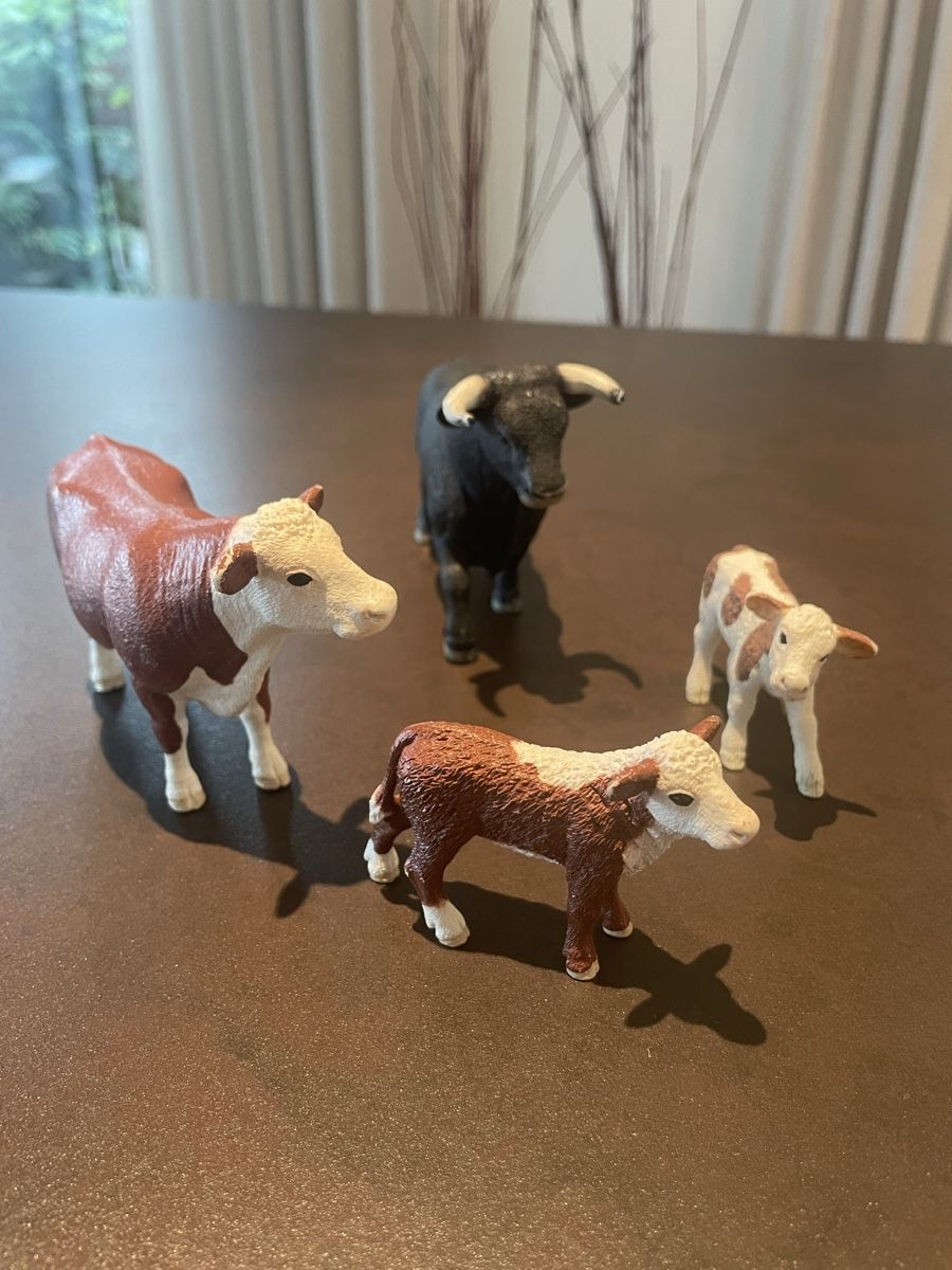 Schleich Statuette: Schleich Kühe – Usato da Walchwil venduto da Pirib82 2