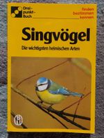 Singvögel: Die wichtigsten heimischen Arten