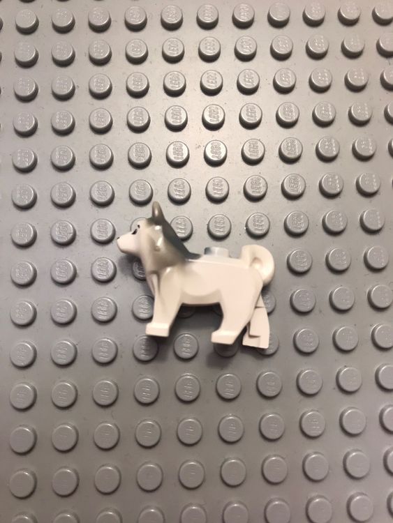 Lego Husky | Kaufen auf Ricardo