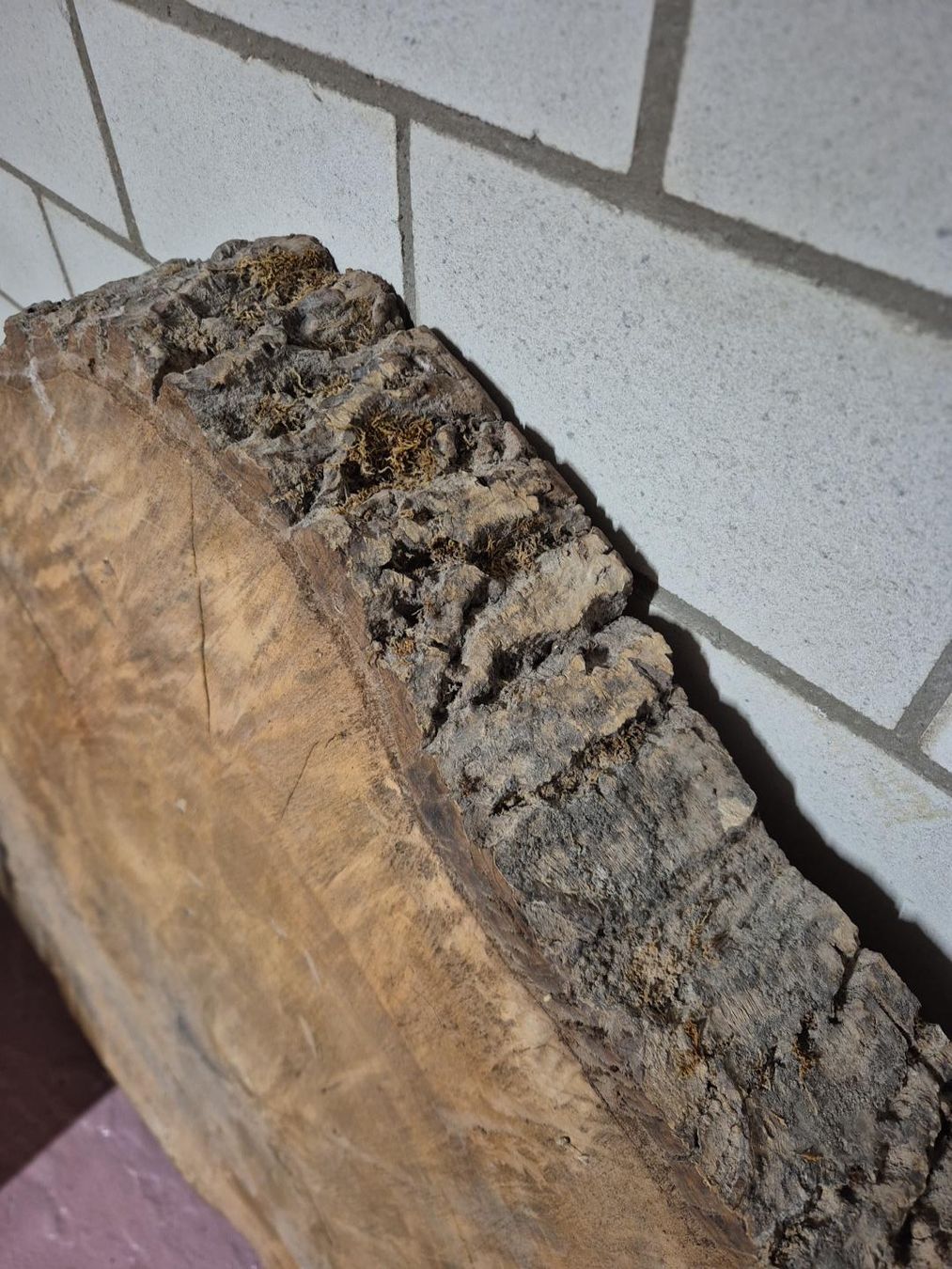 Articles en bois: Rustikaler Holzstamm 1m Durchmesser – D'occasion à Gross par Sventoenel 1