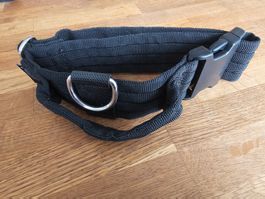 Grossenbacher, robustes Hundehalsband, schwarz, Grösse S