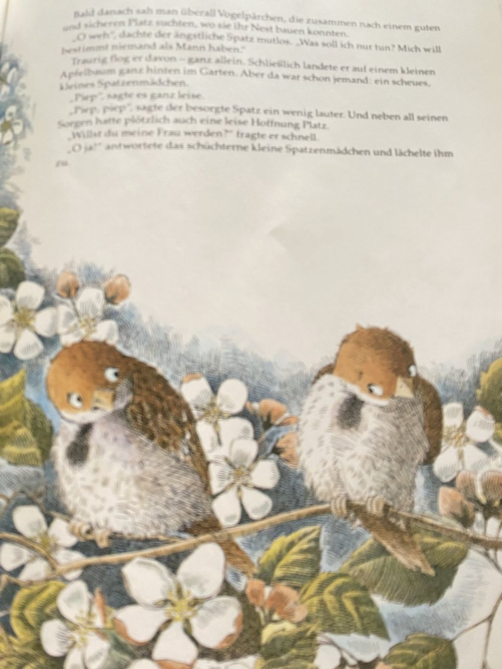 Libri: Der ängstliche kleine Spatz – Nuovo (secondo la descrizione) da Sachseln venduto da basti1950 5