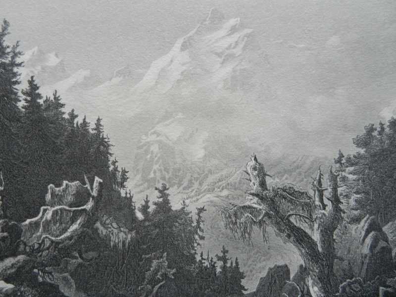 Incisioni: Piz Bernina Oberengadin – Usato da Risch venduto da Rischli15 2