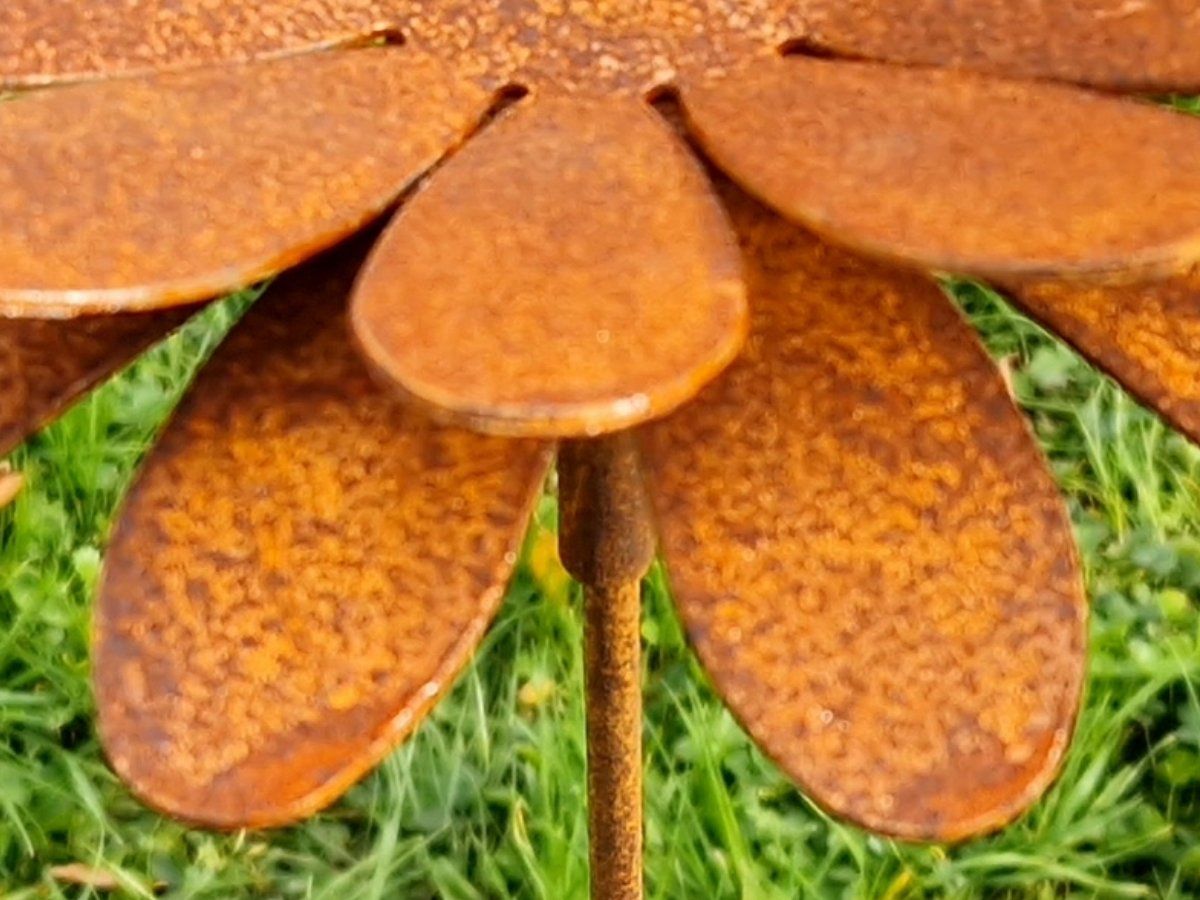 Tutte le decorazioni: Gartenstecker Blüte Rost 100cm – Nuovo e nell'imballaggio originale da Matzendorf venduto da Gartendeko-Shop 2