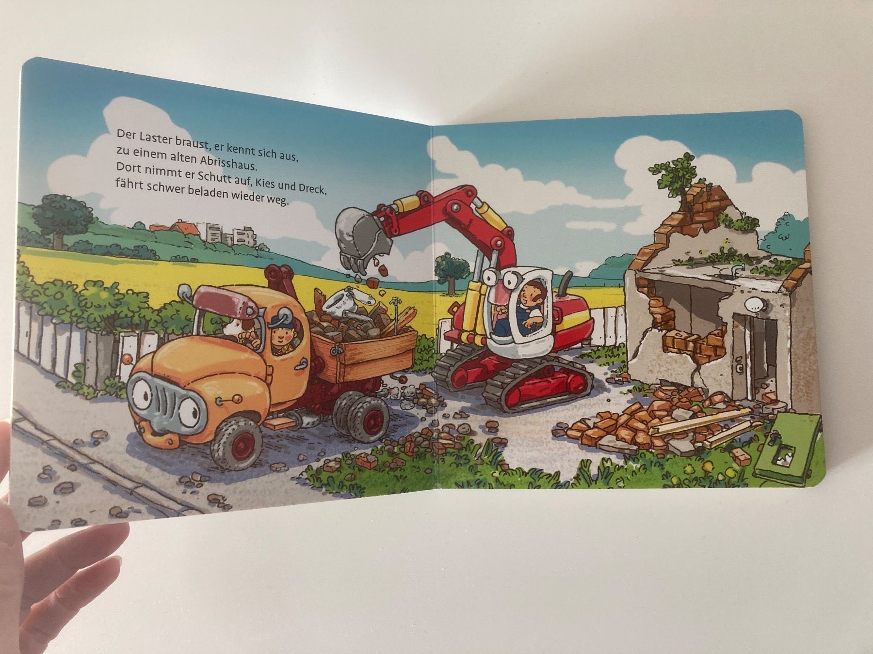 Libri: Buch kleiner Laster – Usato da Winterthur venduto da NatMet11 1
