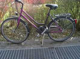 Damen Velo