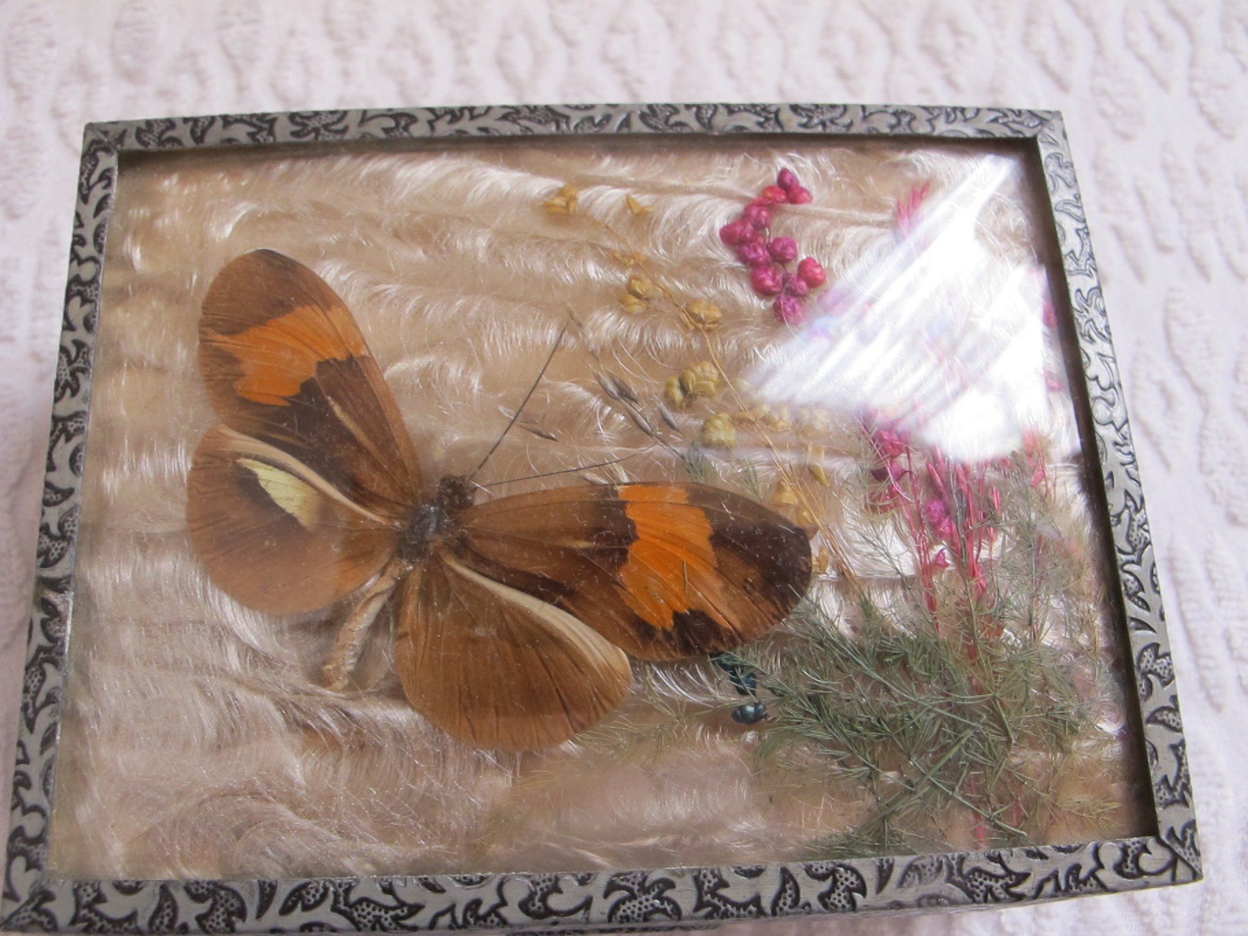 Pots: SCHATULLE MIT ECHTEM SCHMETTERLING VINTAGE – D'occasion à Löhningen par Chimae67 1