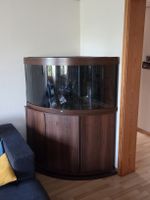 Juwel Eckaquarium 350L, Masse: 123x87x65cm 5 Jährig