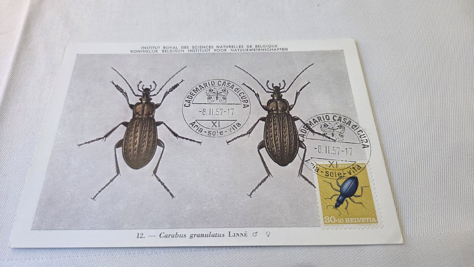 Tutti i francobolli: 1957 Maximumkarte Pro Juventute 30 Rp. – Usato da Arni AG venduto da Moth68