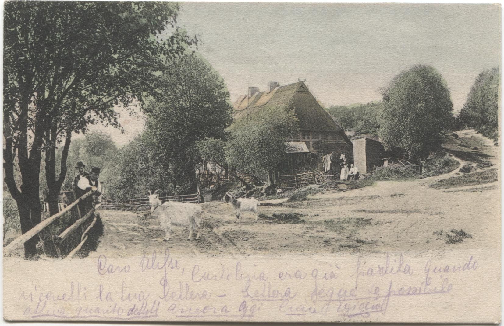 Cartoline postali: LANDWIRTSCHAFT/STROHDACHHAUS 1902 BE? – Usato da Wil SG venduto da Clanx