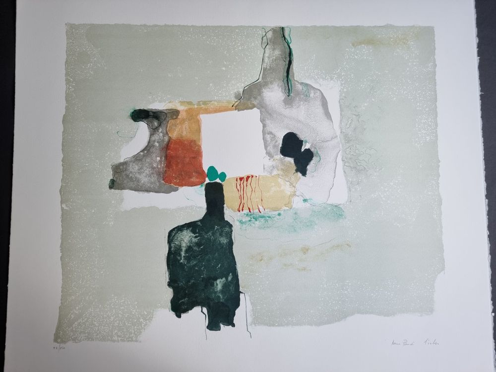 Grafica & Litografie: HANS-RUEDI SIEBER LITHOGRAPHIE SIGNIERT NUMMERIERT – Usato da Gersau venduto da grafik-kunst 1