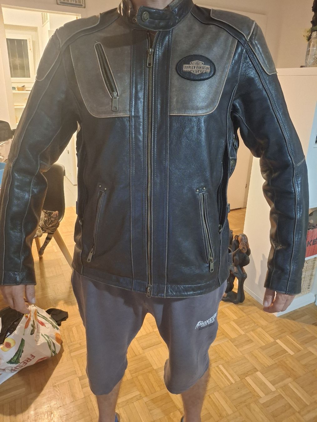 Harley-Davidson Jacken: Giacca pelle Harley Davidson Genuine – Gebraucht aus Agno von Olialby 1
