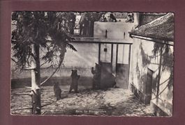 BERN - Bärengraben - 1941