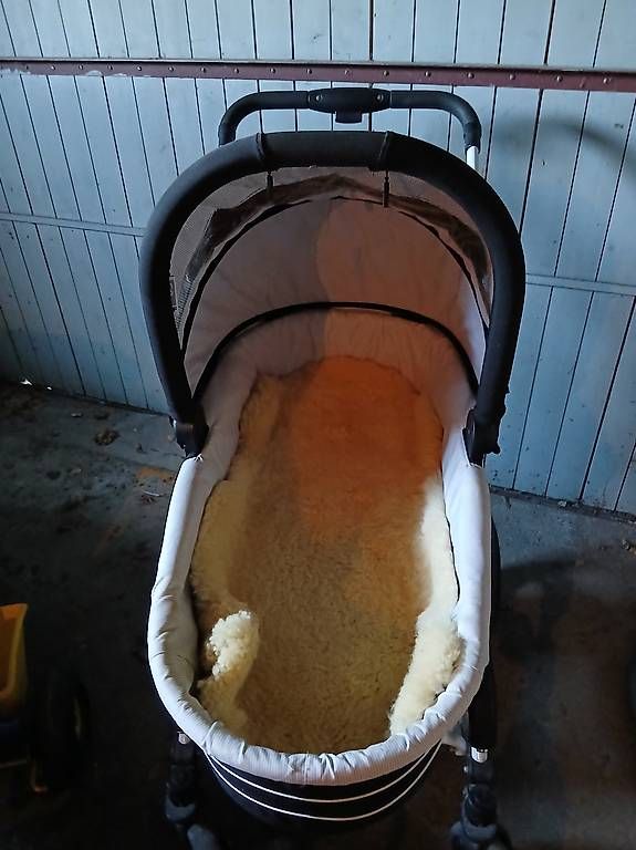Carrozzine: Kinderwagen und Bögi – Usato da Sevelen venduto da serfinis64