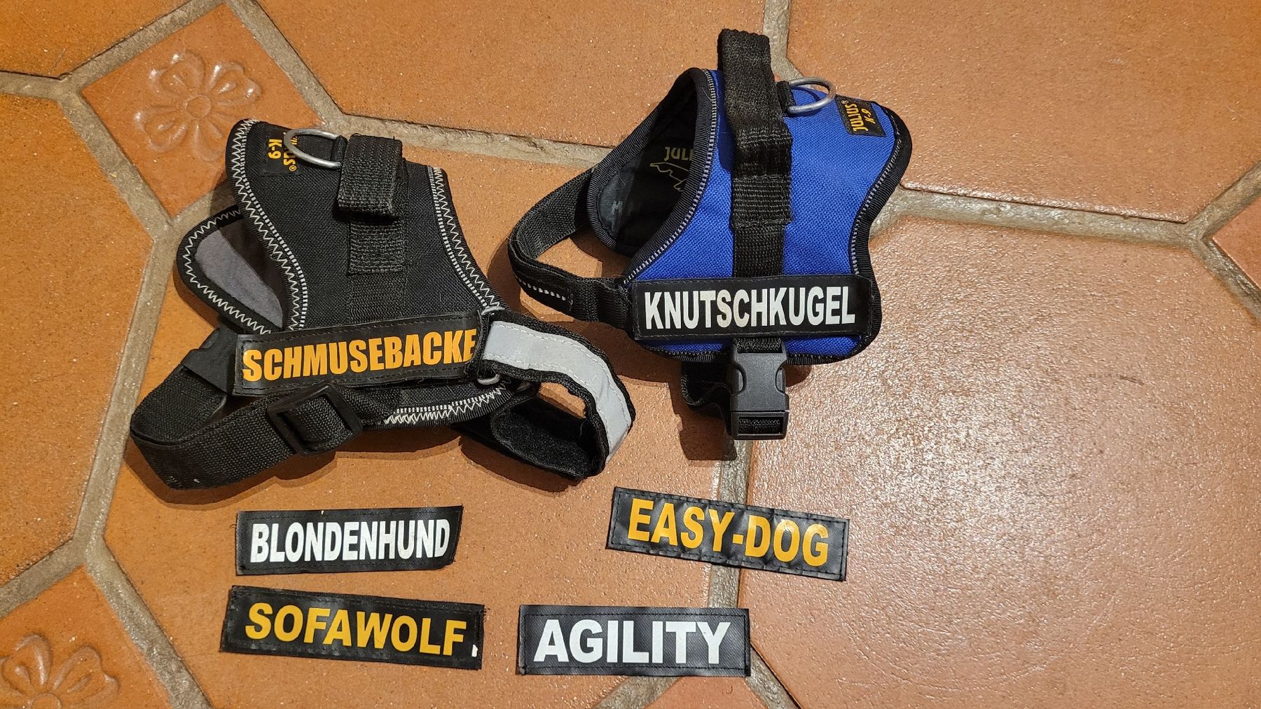 Guinzagli & Collari: Geschirre Julius K9 2 Stk. – Usato da Uetendorf venduto da Heyhey3661 2