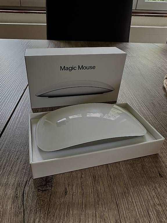 Mouse: Apple Magic Mouse – Usato da Bonfol venduto da vgi_vc6k