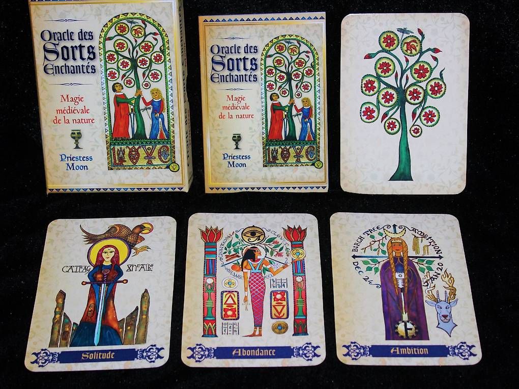 Libri: Oracle des sorts enchantés – Nuovo (secondo la descrizione) da St-Maurice venduto da LaPipistrella
