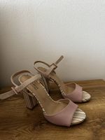 High Heels Rose
