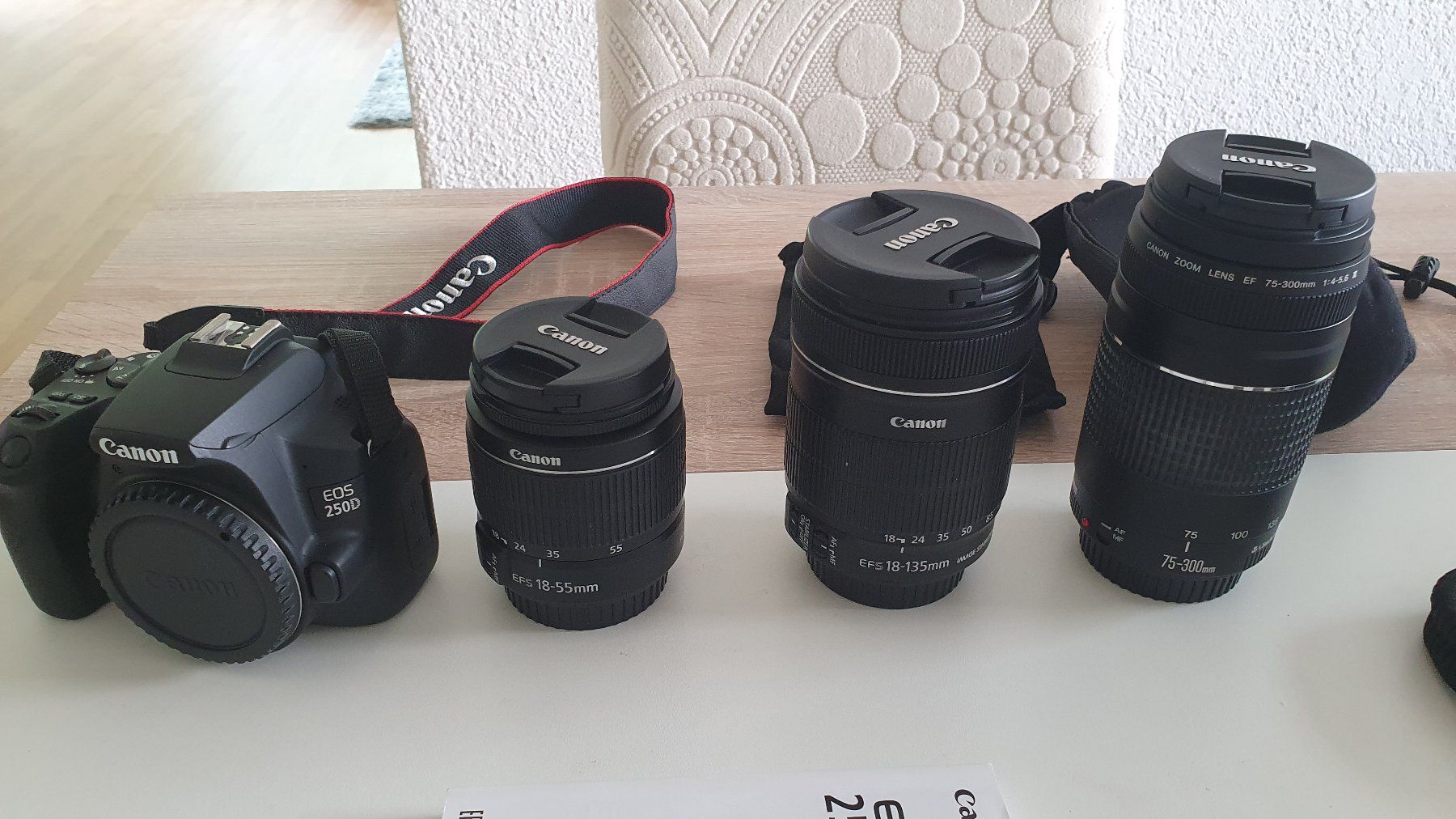 Canon Fotocamera: Canon EOS 250D mit Zubehör – Usato da Kloten venduto da raf_q87h 1