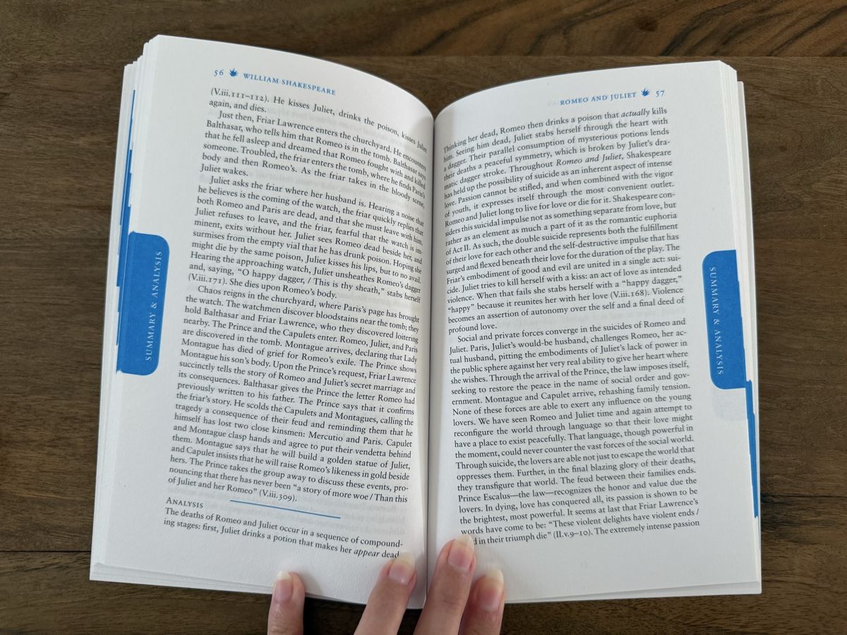 Libri: Romeo and Juliet - Sparknotes – Usato da Moutier venduto da Sparrow2002 2