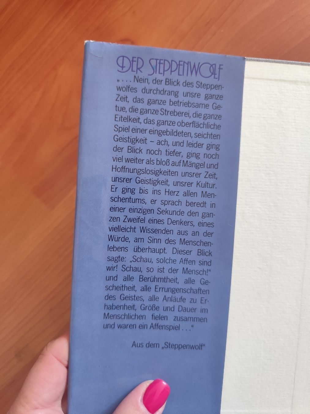Livres: Buch Der Steppenwolf Hermann Hesse – D'occasion à Mägenwil par VintageGirly 5