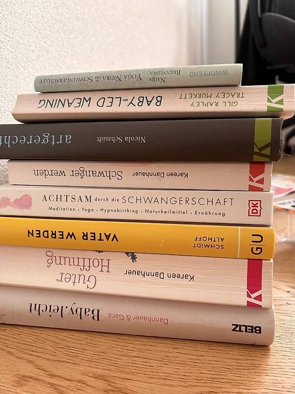 Libri: 8 Ratgeber Schangerschaft & Baby – Usato da Liebefeld venduto da schoggiananas