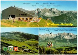 Wildhaus - 3 Bild AK Gamsalp