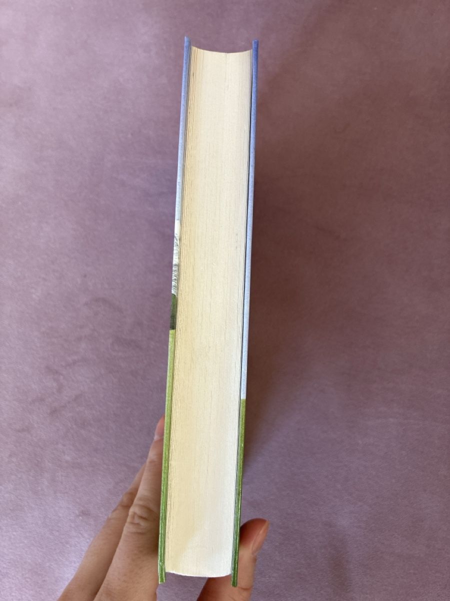 Bücher: Johanna Spyri Heidi – Gebraucht aus Walenstadt von bedina92 3