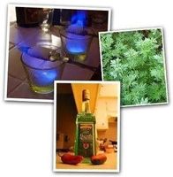 ABSINTHE artemisia absinthium (2 plants)