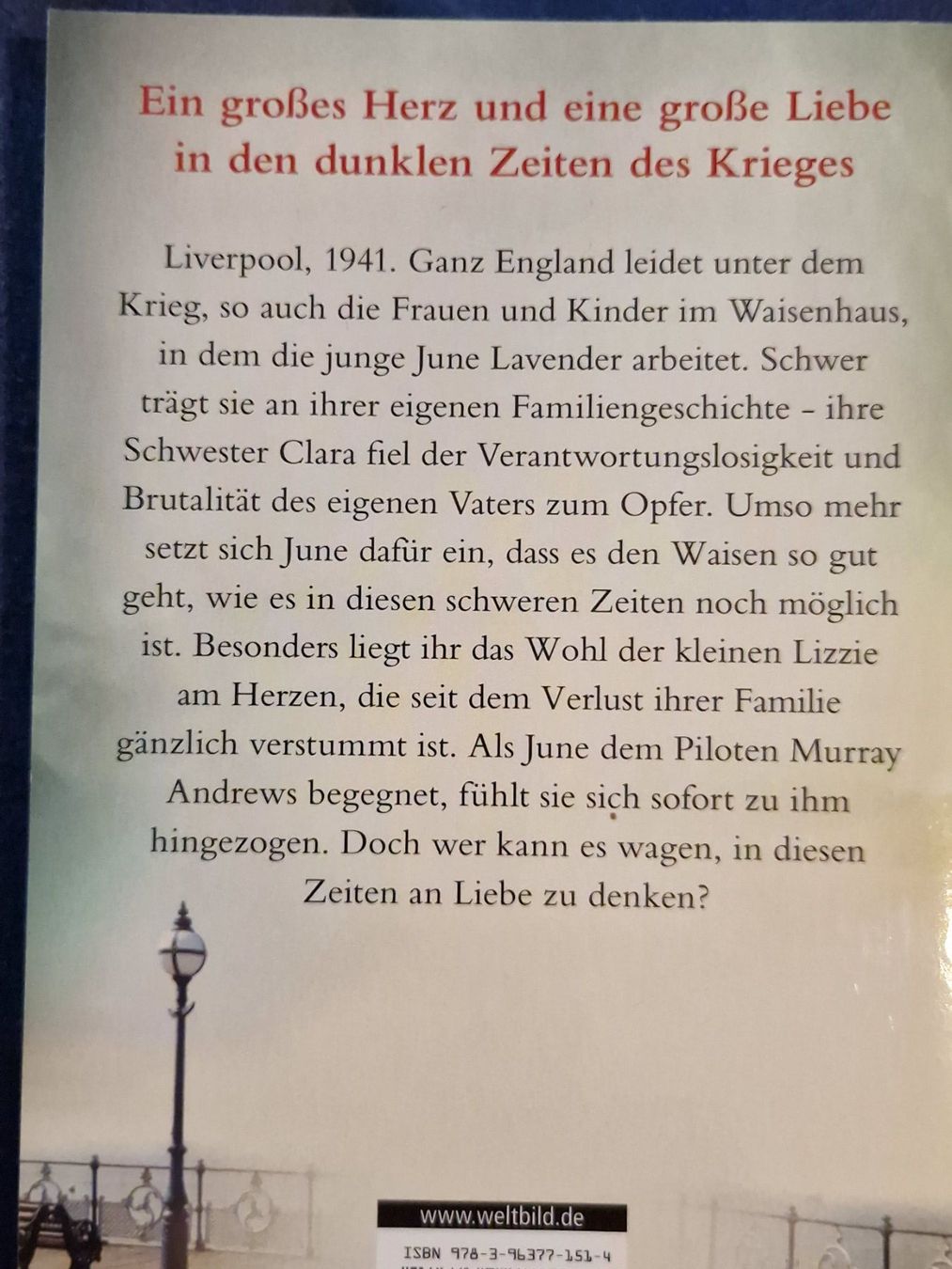 Libri: Molly Green - Im Licht der Hoffnung – Usato da Neuhausen am Rheinfall venduto da Alchimista 1