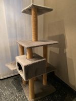 Katzenbaum