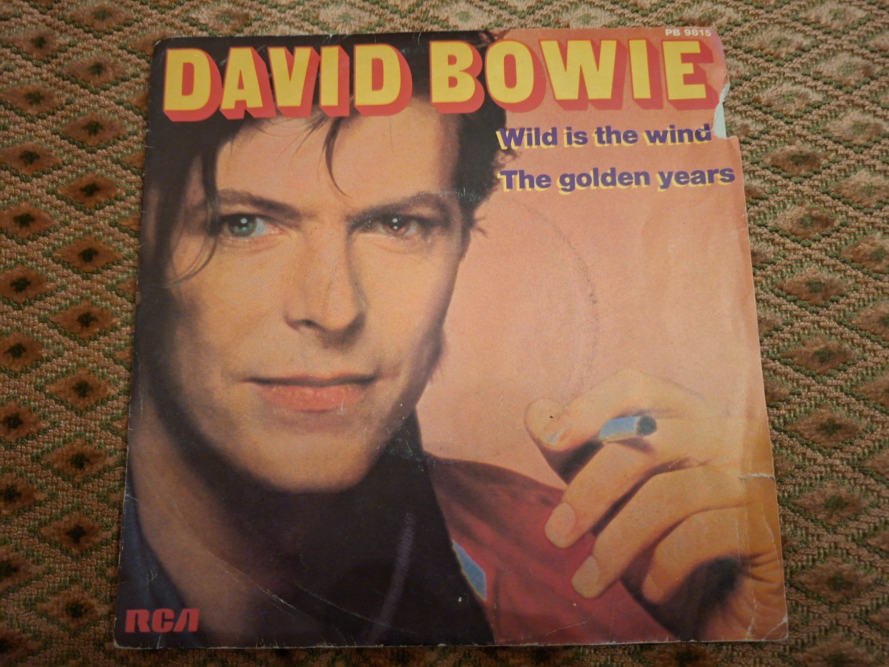 Dischi in vinile: David Bowie - Wild Is The Wind – Usato da Bernex venduto da Wannabehasbeen01