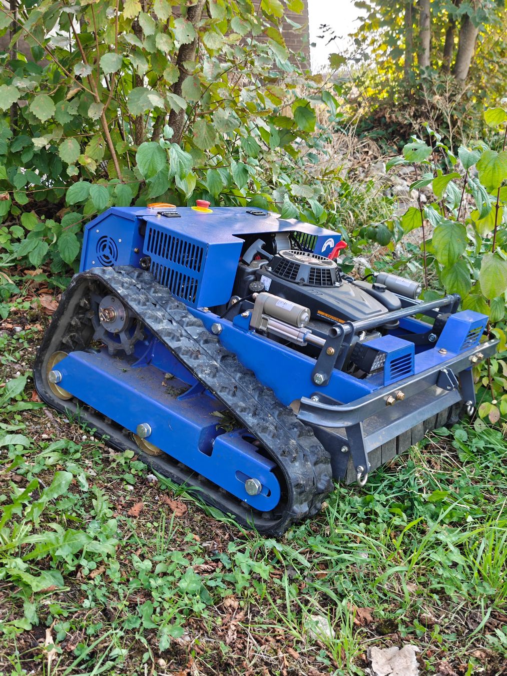 Tutte le macchine: Mulcher Ferngesteuert/Hochgrassmäher – Usato da Gempen venduto da Patrice13