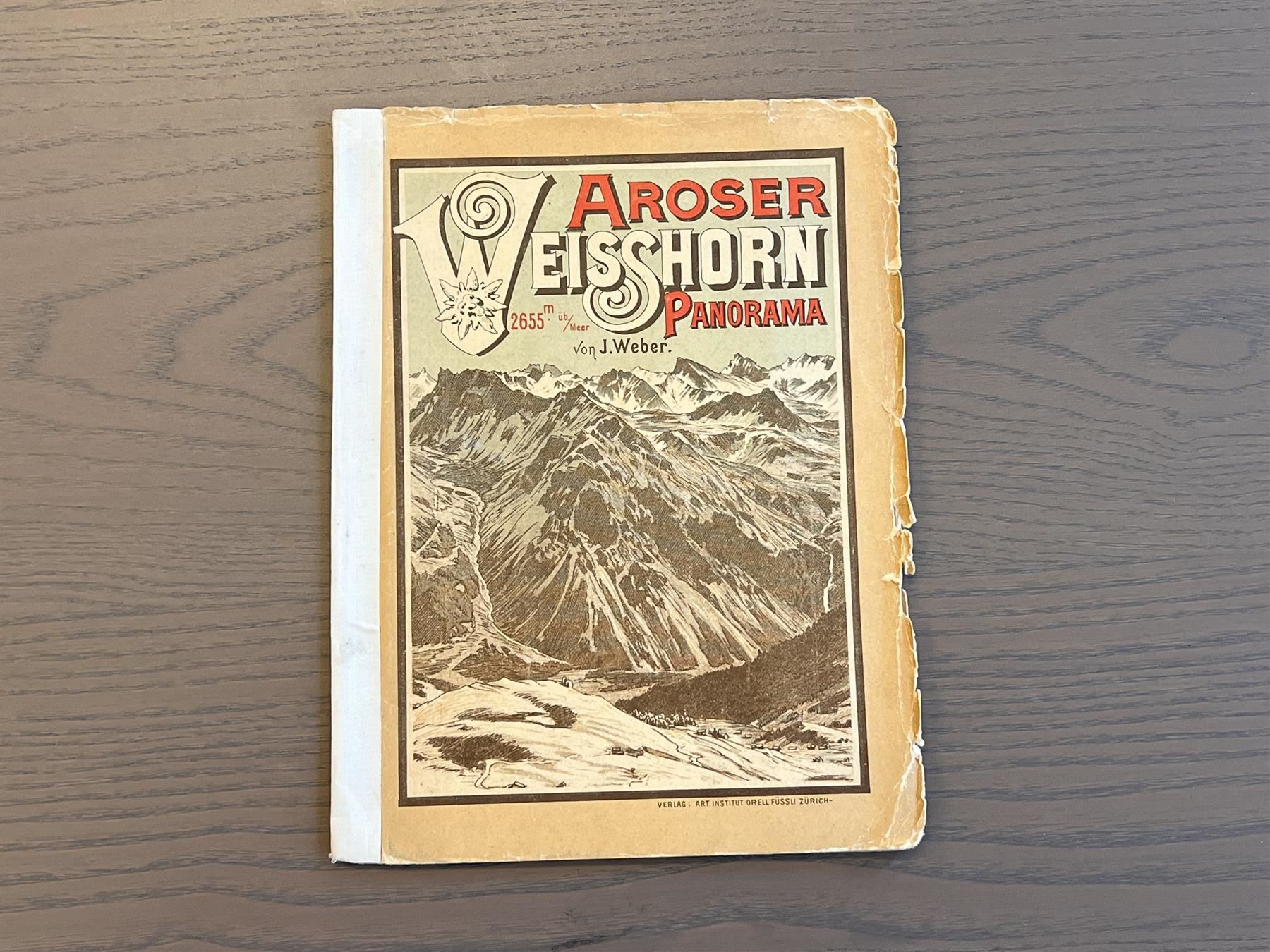 Incisioni: Panorama Aroser Weisshorn Arosa 1880 – Usato da Adliswil venduto da buch_und_kunst