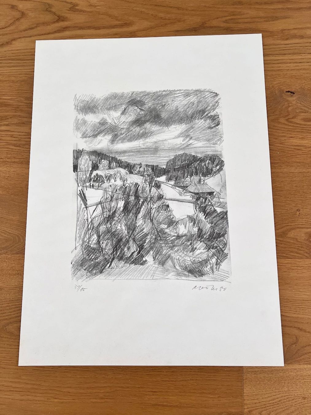 Grafica & Litografie: Litho Willi Meister – Usato da Münchenbuchsee venduto da Volver64