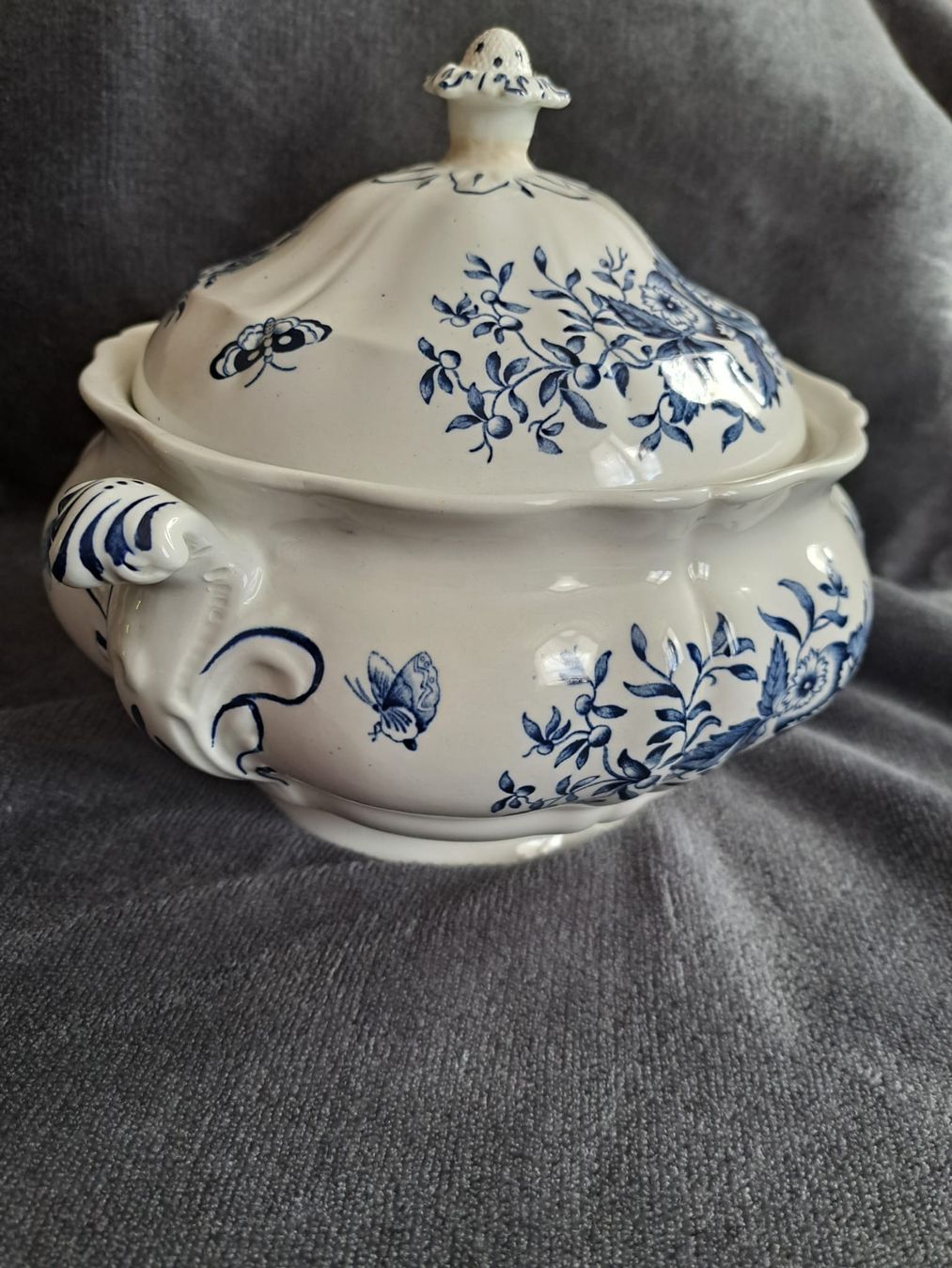 Ciotole: Suppentopf mit Deckel Booths Peony Blue  – Usato da Eschlikon TG venduto da zuzanka80 1