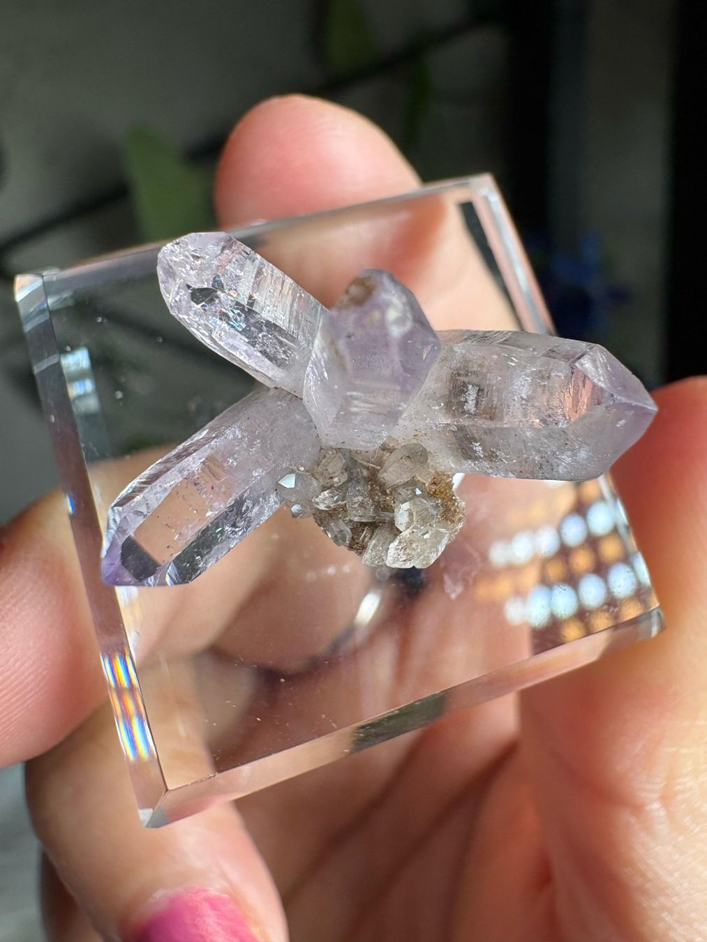 Pietre preziose: Veracruz Amethyst – Nuovo (secondo la descrizione) da Neuheim venduto da m.hald 1