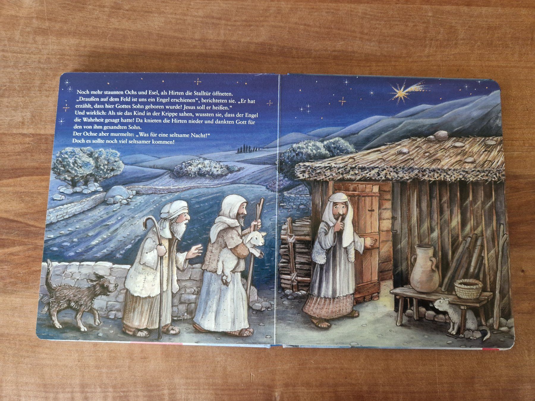 Libri: Bilderbuch "Die Weihnachtsgeschichte" Coppenrath – Usato da Giswil venduto da monimaus08 1