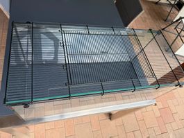 Aquarium für Nager