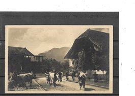BE Interlaken 1924 Alpaufzug (Landwirtschaft)