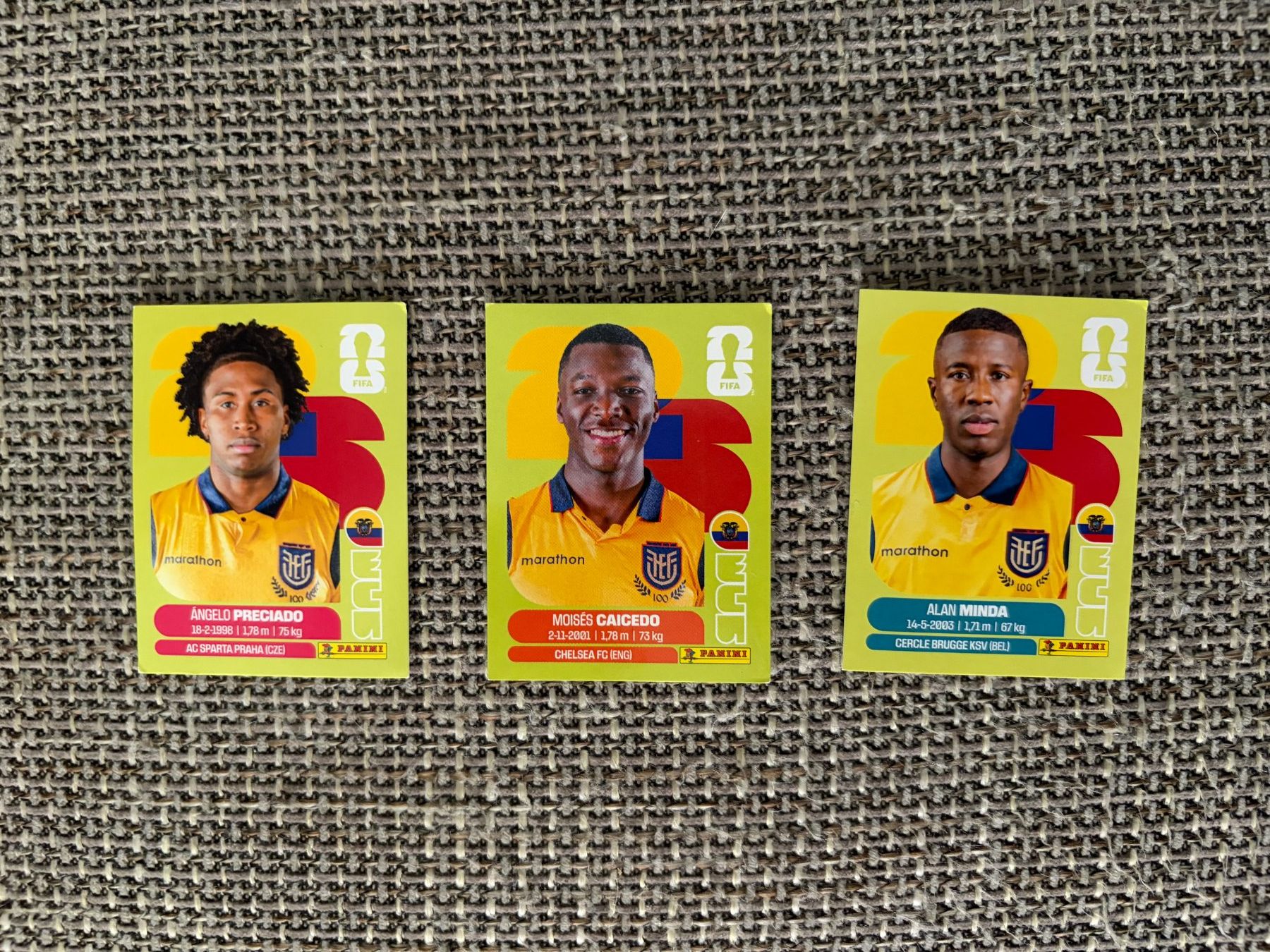 Panini Carte collezionabili: FIFA WM 2026 Panini ECU 7/9/18 – Usato da Egg b. Zürich venduto da pie_9jrw